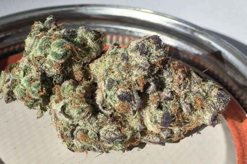 Dookie Farms Cannabis Clones, Marijuana Clones